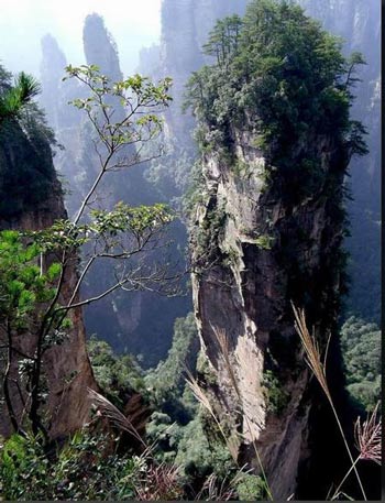 長沙出發(fā)到張家界溶洞奇觀黃龍洞、國家森林公園、袁家界、峰林之王天子山三日游（早班）