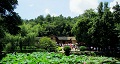 長(zhǎng)沙出發(fā)到花明樓、韶山、張家界國(guó)家森林公園、天門仙山國(guó)家森林公園四日游