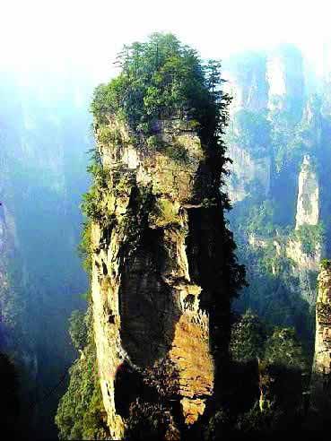 張家界國家地質(zhì)森林公園、黃石寨、金鞭溪休閑一日游