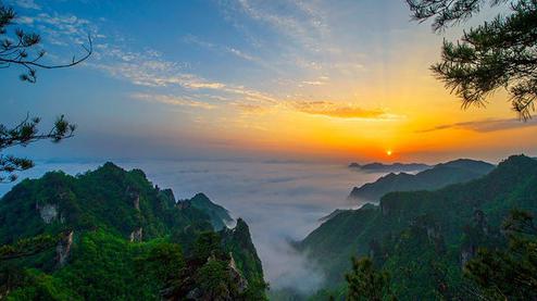 張家界森林公園（金鞭溪、袁家界、楊家界、天子山、十里畫廊）住山上2天1游（可看日出）